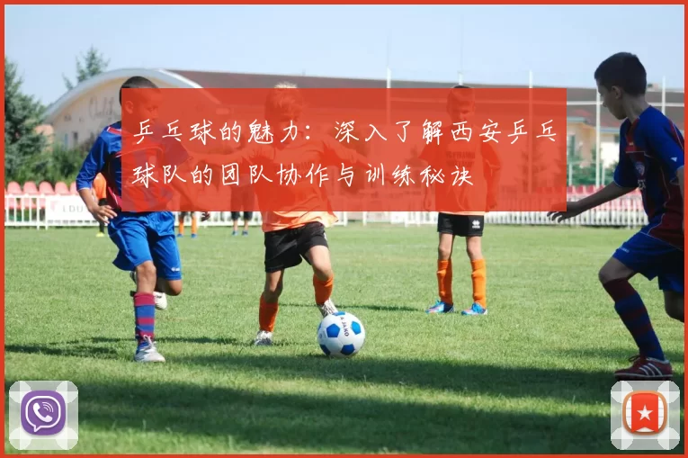 乒乓球的魅力：深入了解西安乒乓球队的团队协作与训练秘诀