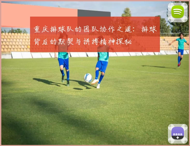 重庆排球队的团队协作之道：排球背后的默契与拼搏精神探秘