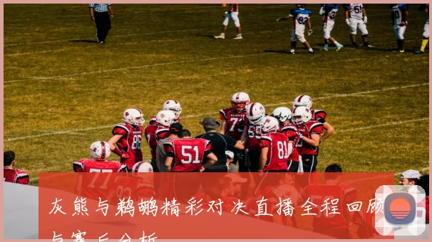 灰熊与鹈鹕精彩对决直播全程回顾与赛后分析