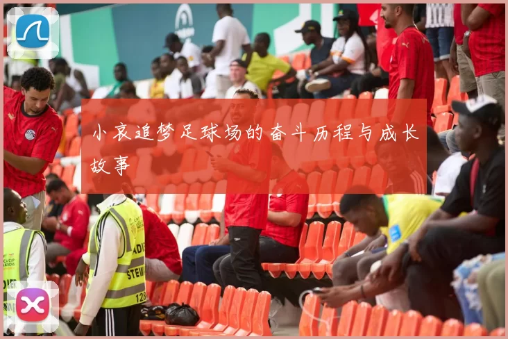 小哀追梦足球场的奋斗历程与成长故事