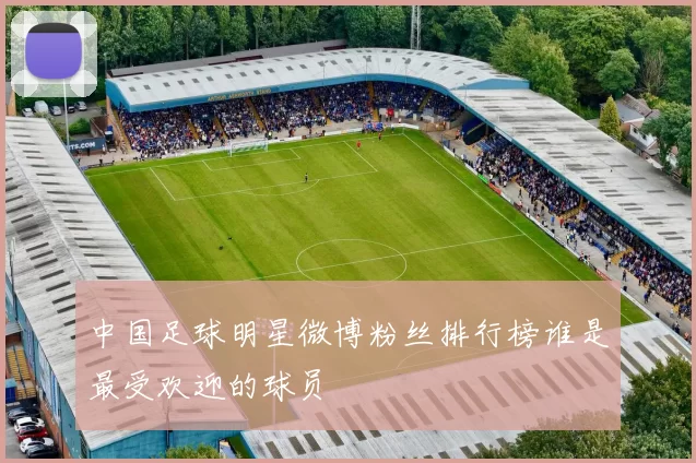 中国足球明星微博粉丝排行榜谁是最受欢迎的球员