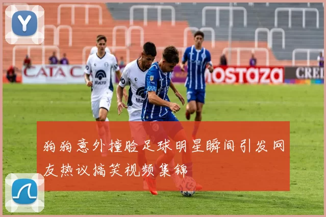 狗狗意外撞脸足球明星瞬间引发网友热议搞笑视频集锦