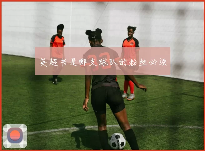 英超书是哪支球队的粉丝必读