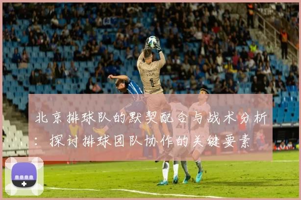 北京排球队的默契配合与战术分析：探讨排球团队协作的关键要素