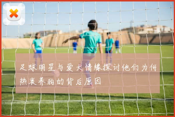 足球明星与爱犬情缘探讨他们为何热衷养狗的背后原因