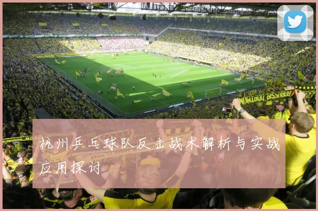 杭州乒乓球队反击战术解析与实战应用探讨