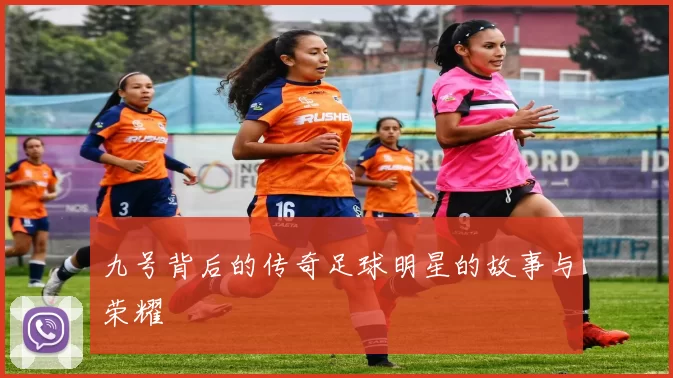 九号背后的传奇足球明星的故事与荣耀
