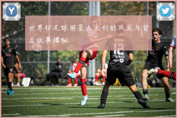 世界杯足球明星太太们的风采与背后故事揭秘