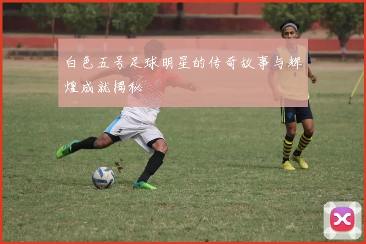 白色五号足球明星的传奇故事与辉煌成就揭秘