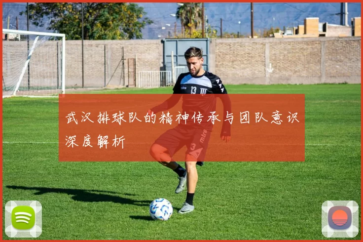 武汉排球队的精神传承与团队意识深度解析