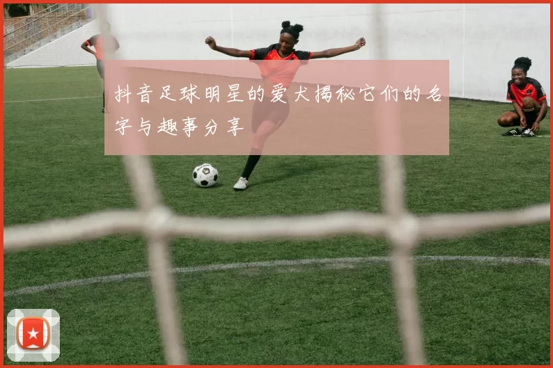 抖音足球明星的爱犬揭秘它们的名字与趣事分享