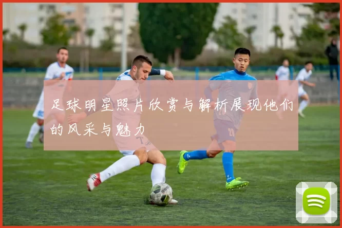 足球明星照片欣赏与解析展现他们的风采与魅力
