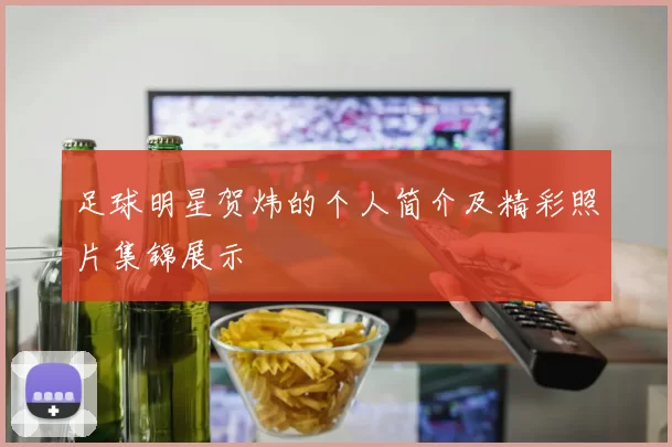 足球明星贺炜的个人简介及精彩照片集锦展示