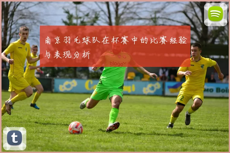 南京羽毛球队在杯赛中的比赛经验与表现分析