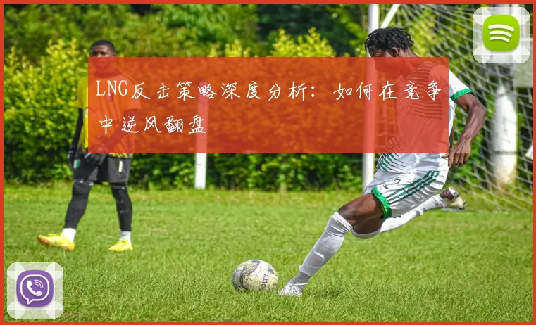 LNG反击策略深度分析：如何在竞争中逆风翻盘