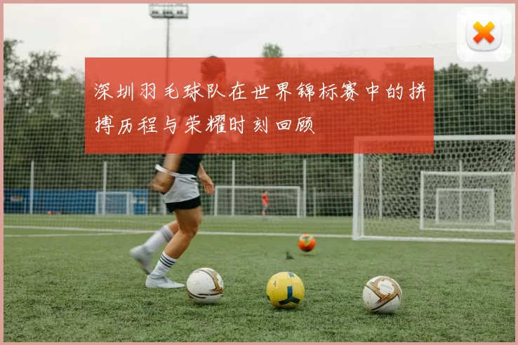 深圳羽毛球队在世界锦标赛中的拼搏历程与荣耀时刻回顾