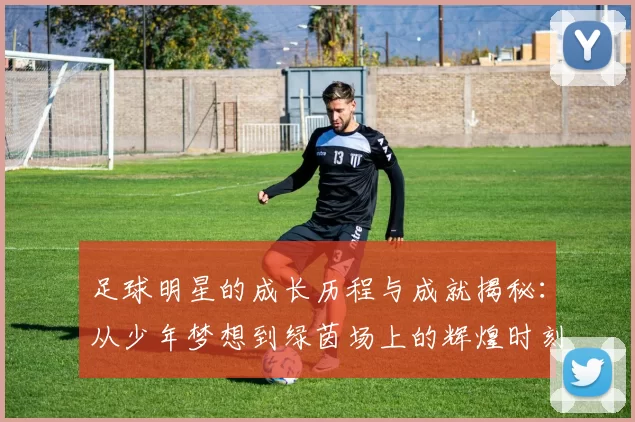 足球明星的成长历程与成就揭秘：从少年梦想到绿茵场上的辉煌时刻