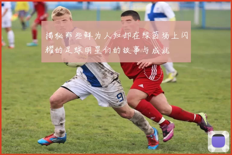 揭秘那些鲜为人知却在绿茵场上闪耀的足球明星们的故事与成就