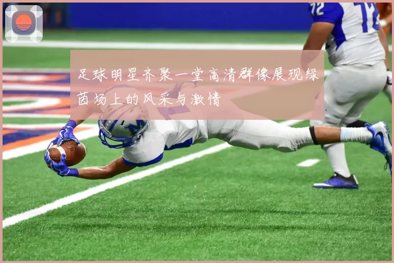 足球明星齐聚一堂高清群像展现绿茵场上的风采与激情