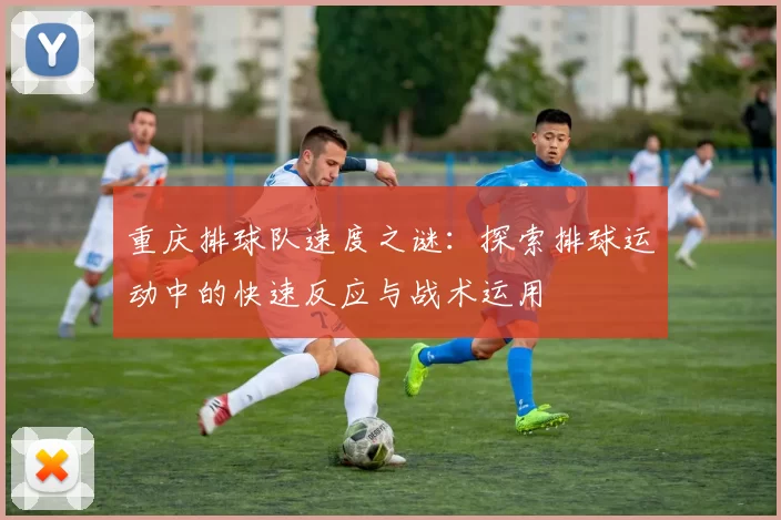 重庆排球队速度之谜：探索排球运动中的快速反应与战术运用